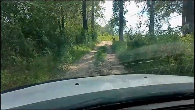 Рено Дастер эксплуатация,сбросил ошибку,выезд на природу. смотреть онлайн