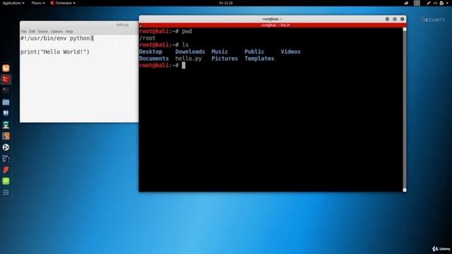 Курсы по программированию на python Часть 6 (Python 2 vs Python 3) (Этичный хакинг) смотреть онлайн