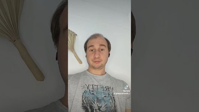 Чихуахуа стоит...прикол