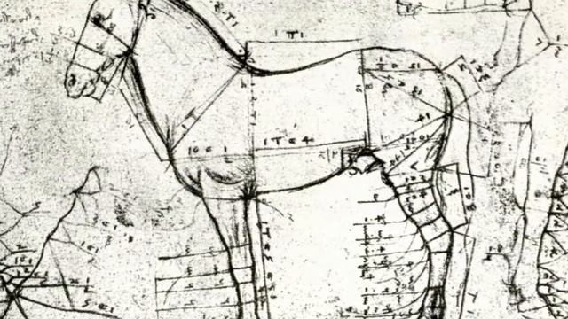 Анатомия животных Animal anatomy смотреть онлайн