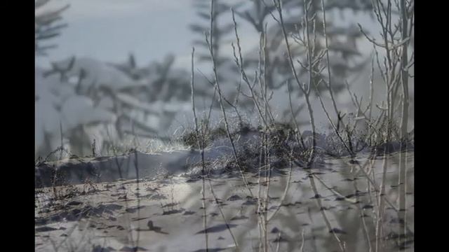 ЕСЕНИН СОЛНЦЕ СНЕГ 2011 смотреть онлайн