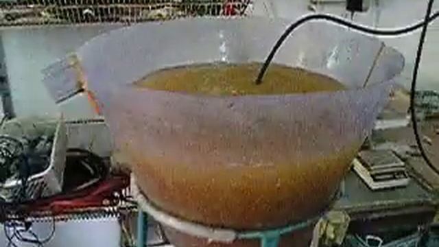 Получение живых кормов для рыб смотреть онлайн