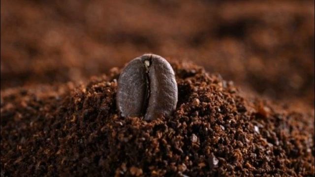 Как избавиться от запаха в холодильнике смотреть онлайн