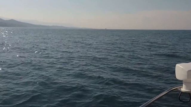 Завтрак с дельфинами) смотреть онлайн