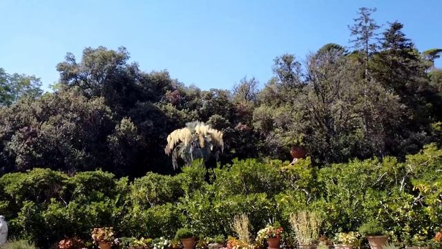 4 августа 2022 г.Леру в помощники смотреть онлайн