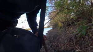 ГДЕ ДОСТАТЬ ЗЕЛЁНЫХ ЧЕРВЕЙ В АСТРАХАНИ