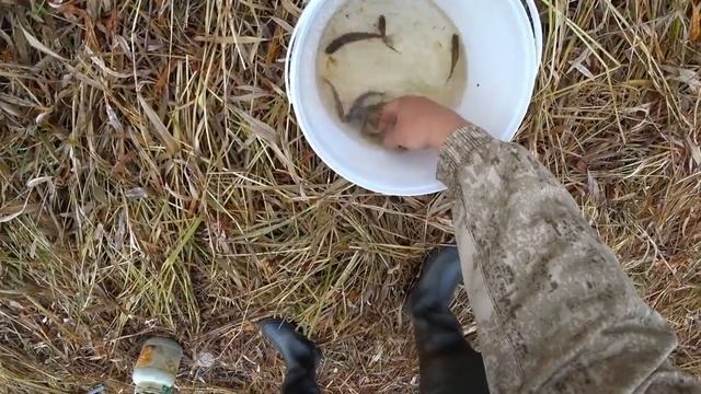 ЗА ВКУСНЯХОЙ ДЛЯ НАЛИМА \ В ПОИСКАХ ЕРША \ ЛОВЛЯ ЖИВЦА НА ЛЕСНОЙ РЕКЕ \ РЫБАЛКА ОСЕНЬЮ 2020! смотреть онлайн