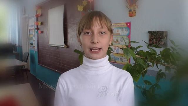 Мягкая Вероника (Макеевка) читает стихотворение Платона Воронько смотреть онлайн