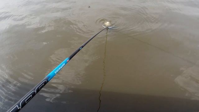 2Кг карп на Москва-реке? Все бывает! смотреть онлайн