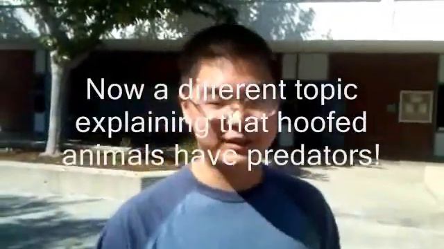 APES - Tropical Savanna Project Part 2 смотреть онлайн