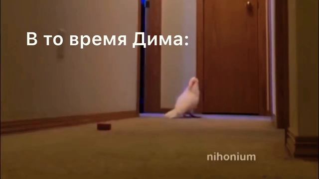 ~/смешные моменты из видосов Лианы/~💗💗💗💗💗💗💗💗💗#етолиана #этолиана смотреть онлайн
