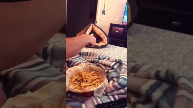 как кормить чихуахуа #чихуахуа смотреть онлайн