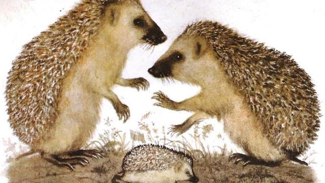 Тихая сказка смотреть онлайн