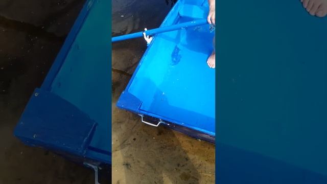 учиться никогда не поздно@ смотреть онлайн