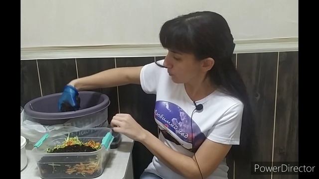 гумус в домашних условиях ? смотреть онлайн