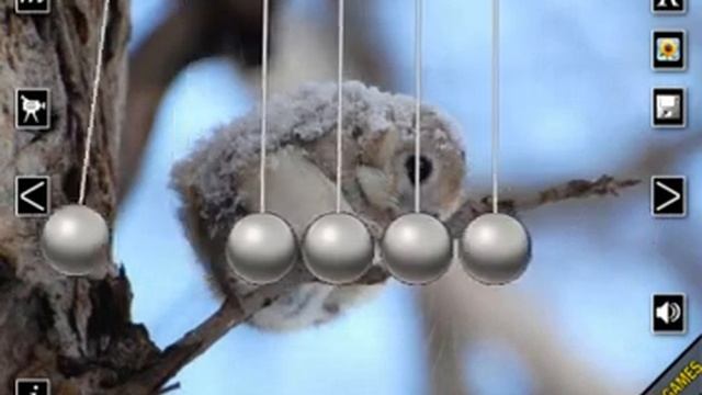 Newton Balls on Ipod смотреть онлайн