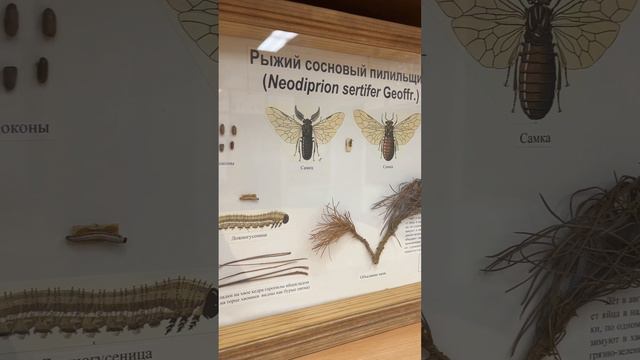 Экология и природопользование смотреть онлайн