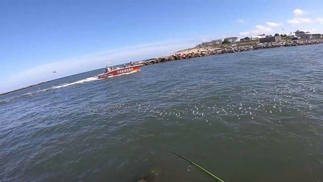 NONSTOP Inlet FLOUNDER!! (Trying out Pro-Cure VS. Gulp)