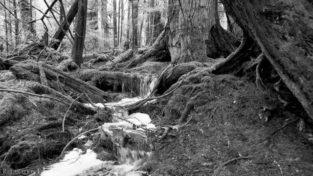 22.Зинаида Миркина.У самого моря,у самого Бога смотреть онлайн