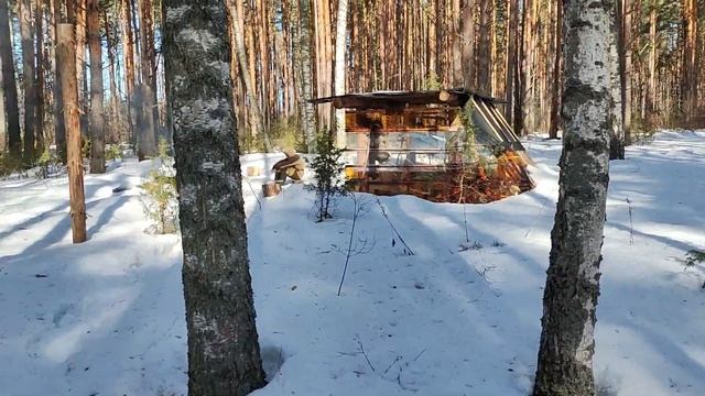 Поездка в Лес , Воронов кормили смотреть онлайн
