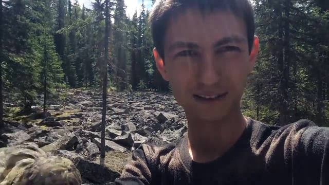 Поездка в лес смотреть онлайн