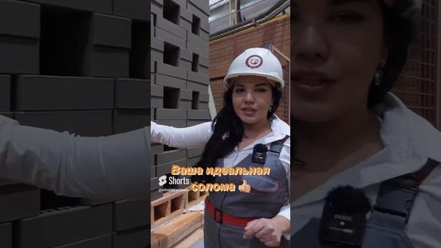 Какой Кирпич Лучше для постройки Дома. Как выбрать #кирпич #стройка #строительство Строительство смотреть онлайн