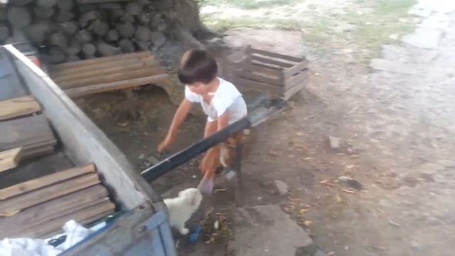 Принесли щенка (музыка - "Мой щенок", Маша Фёдорова) смотреть онлайн