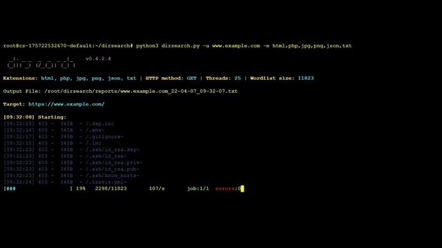 FIND HIDDEN WEB FILES AND DIRECTORIES IN KALI LINUX (ETHICAL HACKING) смотреть онлайн