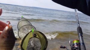 ТИЛЯПИЯ НА ФИДЕР  | Открытие фидерного сезона на ОХЛАДИТЕЛЕ АЭС