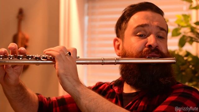 Vltava (The Moldau) from Má vlast ~ Composed by Bedřich Smetana - FLUTE COVER смотреть онлайн