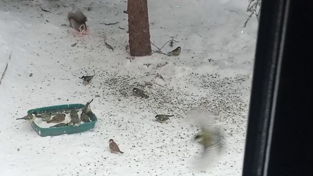 так у нас было неделю назад смотреть онлайн