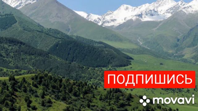 Сура Аль-Фатиха... смотреть онлайн