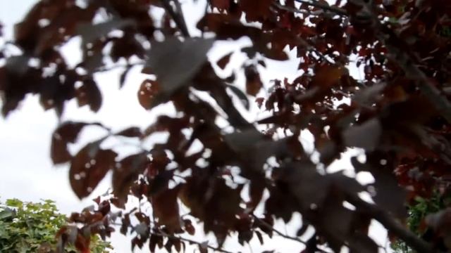 Артемий и Татьяна смотреть онлайн