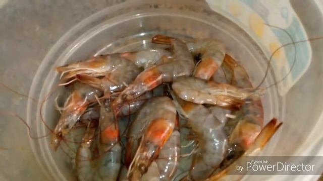 КАК СВАРИТЬ КРЕВЕТКИ. САЛАТ ИЗ КРЕВЕТОК смотреть онлайн