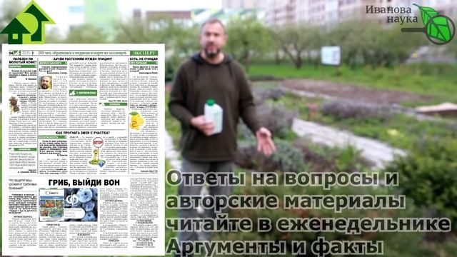 СРОЧНО ОБРАБОТАЙТЕ САД! Груше грозит опасность. Ржавчина! Видео с браком. смотреть онлайн