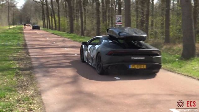 Novitec Ferrari GTC4Lusso - LOUD Accelerations & V12 Sounds ! смотреть онлайн