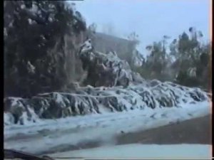 Июньский снегопад  6 июня 1995 г Алапаевский район