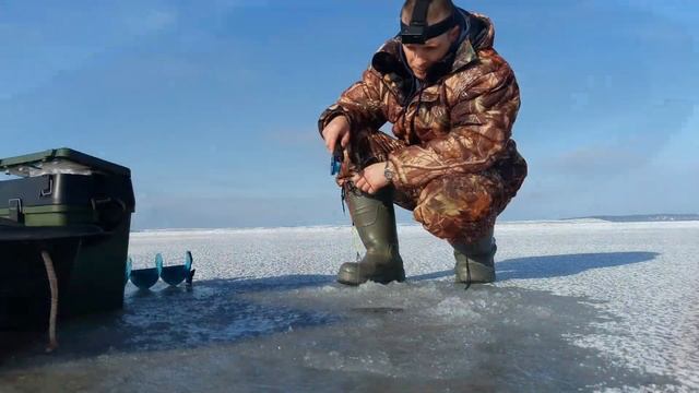ЛОВЛЯ ОКУНЯ ЗИМОЙ НА КУРШСКОМ ЗАЛИВЕ(Калининградская область) смотреть онлайн