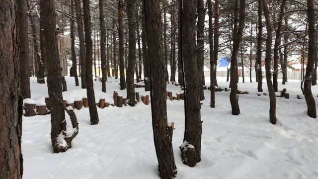 избушка бабы яги в Нелже смотреть онлайн