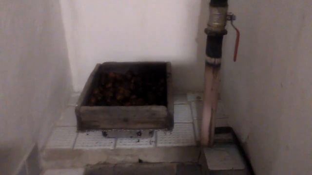 ДЕДОВСКИЙ МЕТОД ЧИСТКИ ГРЕЦКИХ ОРЕХОВ/ПРОВЕРЕННЫЙ ЛУЧШИЙ СПОСОБ/РАСКАЛЫВАЕМ ОРЕХИ ЛЕГКО И ПРОСТО смотреть онлайн