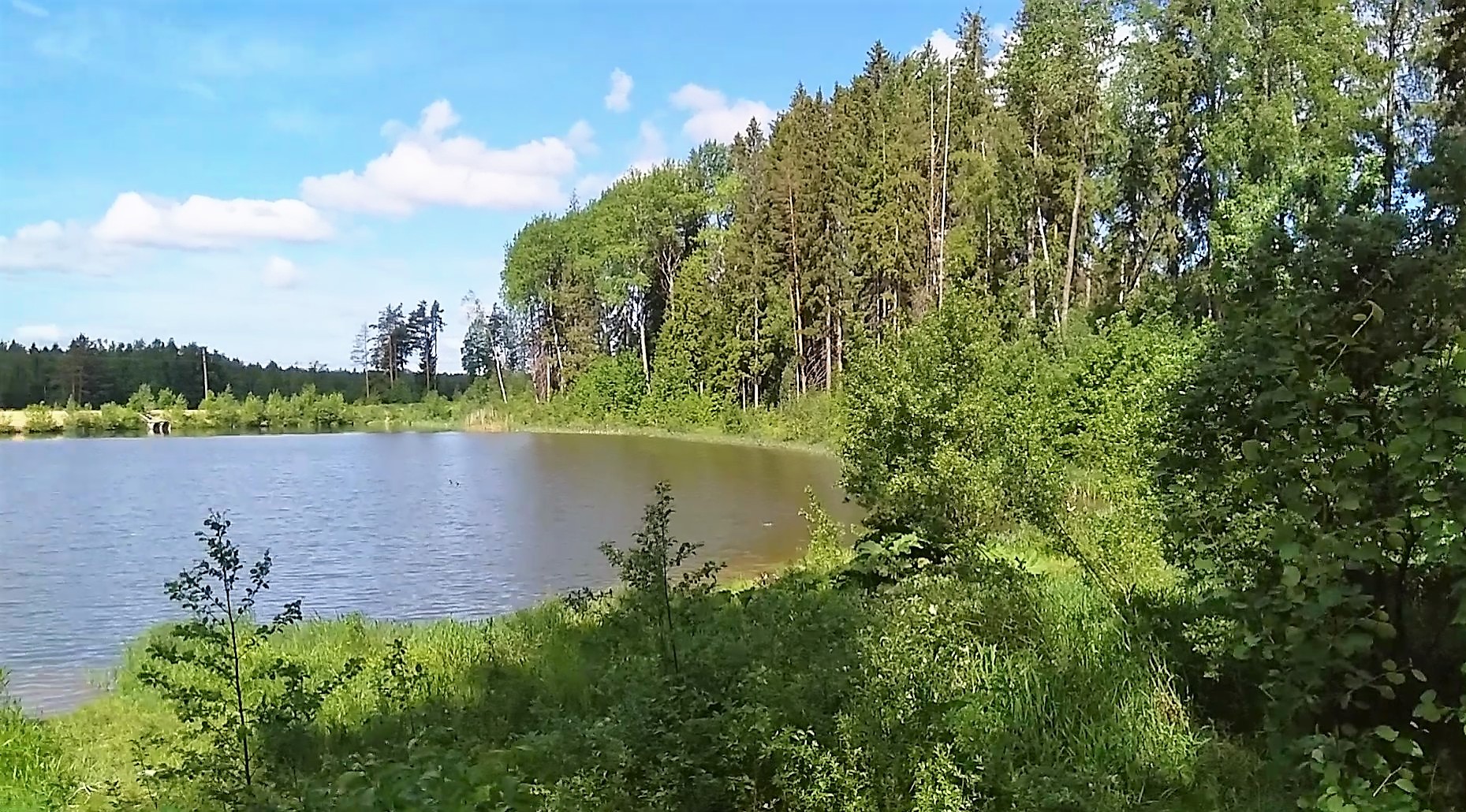 У озера, или Где-то рядом с Петербургом: Лето