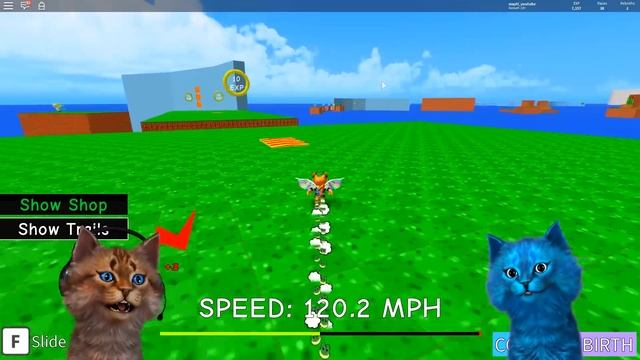 ДВА КОТА УСТРОИЛИ ДОГОНЯЛКИ в СИМУЛЯТОРЕ ПАРКУРА смотреть онлайн