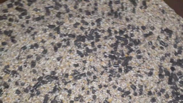 3.01.2021 Пилетно Факельна горелка на відходах з кукурудзи (амброзія)+ пилета. смотреть онлайн