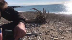 ❗️КОП НА ПЛЯЖЕ❗️ПОИСК ЗОЛОТА❗️ПЛЯЖНЫЙ КОП ЧЁРНОЕ МОРЕ❗️ПЛЯЖНЫЙ КОП С МЕТАЛЛОИСКАТЕЛЕМ❗️СЕРЕБРО❗️