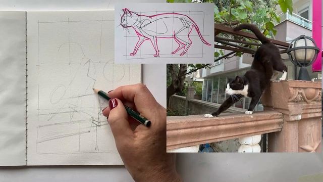 Как нарисовать скетч с котом? смотреть онлайн