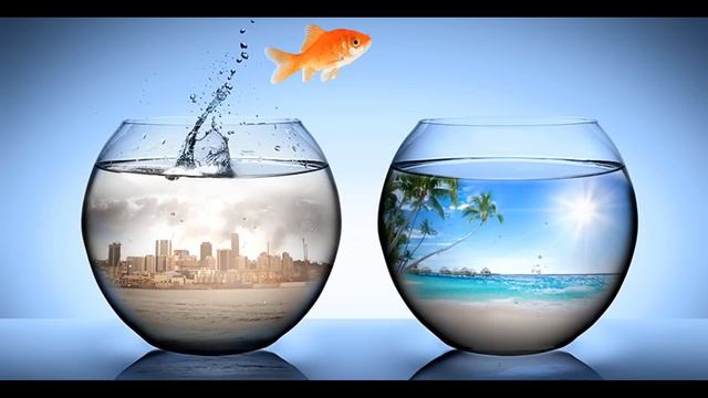 Как изменить свою жизнь смотреть онлайн