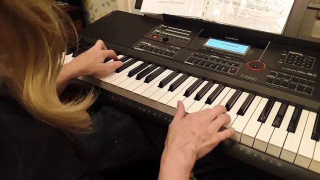 The Candy Man (Casio CT-X5000 Keyboard) смотреть онлайн