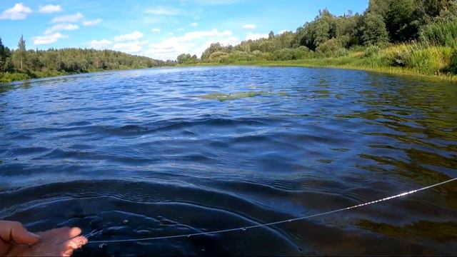 НЕУДАЧНАЯ РЫБАЛКА НА РЕКЕ ЛУГА смотреть онлайн