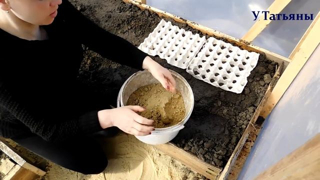 Сеем редис в кассетах (лотках) и зелень. Хитрости при посадке редиса смотреть онлайн