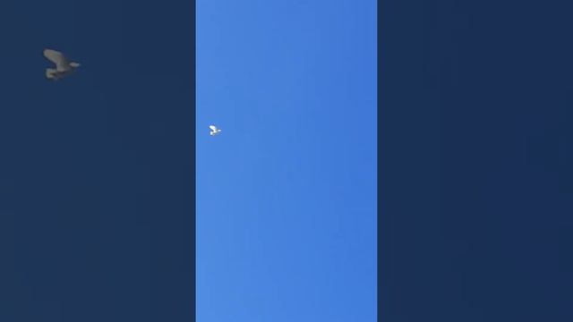 14 февраля 2022 г. смотреть онлайн